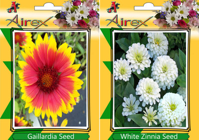 

Airex Gaillardia, White Zinnia Seed(25 per packet)