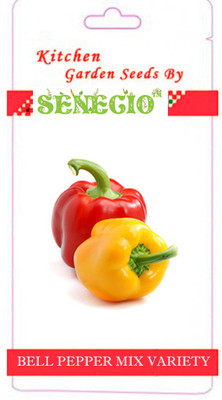 SENECIO™ Capsicum Seed(20 per packet)
