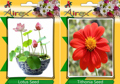 Airex Lotus, Tithonia Seed(20 per packet)