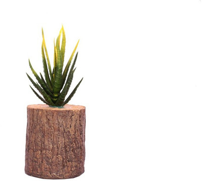 

Jainsons Pet Products Decoration Artificial Plastic Resin Ornament SC-737B Aquarium Plant Anchor({Plant Anchors1)