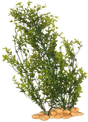 

Jainsons Pet Products Decoration Artificial Plastic Resin Ornament SC-452 Aquarium Plant Anchor({Plant Anchors1)