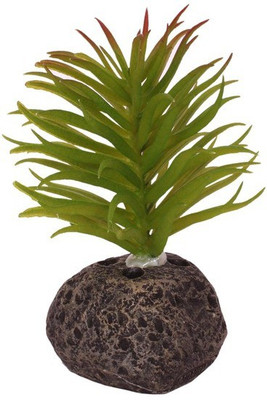 

Jainsons Pet Products Decoration Artificial Plastic Resin Ornament SC-489 Aquarium Plant Anchor({Plant Anchors1)