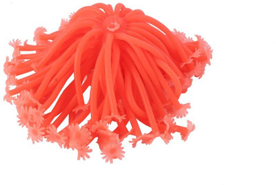 

Jainsons Pet Products Jainsons Sea Anemone Silicone Orange Artificial Ornament Decoration RT07C Aquarium Plant Anchor({Plant Anchors1)