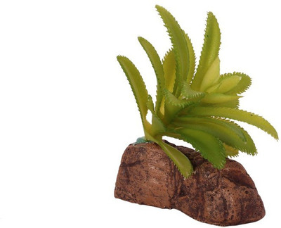 

Jainsons Pet Products Decoration Artificial Plastic Resin Ornament SC-740 Aquarium Plant Anchor({Plant Anchors1)