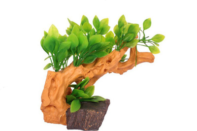

Jainsons Pet Products Decoration Artificial Plastic Resin Ornament SG-101C Aquarium Plant Anchor({Plant Anchors1)