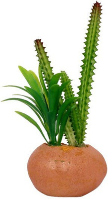 

Jainsons Pet Products Decoration Artificial Plastic Resin Ornament SC-755 Aquarium Plant Anchor({Plant Anchors1)
