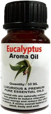 

Gardens Of Aroma Gardans Of Aroma EucalyptusAroma Oil(50 ml)