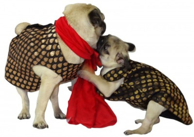 

DOUGE COUTURE Dress for Dog(Multicolor