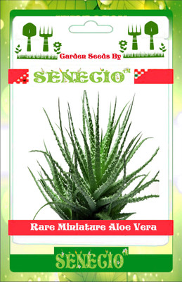 

SENECIO™ Aloe Seed(5 per packet)
