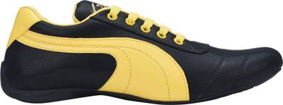 Kaneggye Canvas Shoes, Sneakers, Party Wear, Casuals