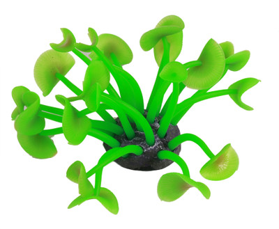 

royalpet Rubber Fetch Toy For Fish