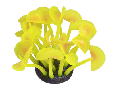 

royalpet Rubber Fetch Toy For Fish