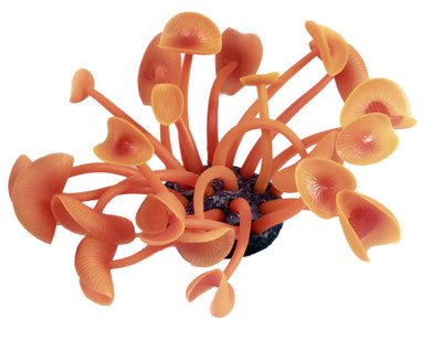 

royalpet Rubber Fetch Toy For Fish