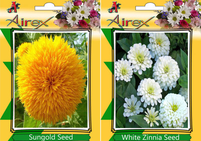 

Airex Sungold, White Zinnia Seed(25 per packet)