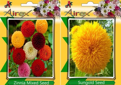 Airex Zinnia Mixed, Sungold Seed(15 per packet)