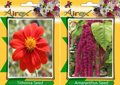 Airex Tithonia, Amaranthus Seed(25 per packet)