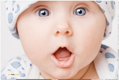 

Pics and You Pics And You Baby Themed 445 Laptop Skin (3M/Avery Vinyl, 15x10 inches)-BA445 Vinyl Laptop Decal 15.6