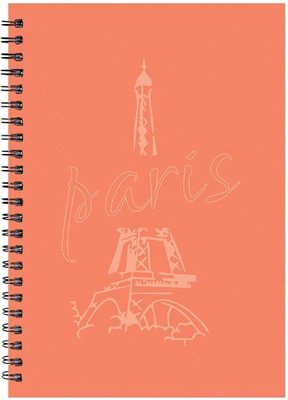 Printelligent A5 Notebook(Paper Plane Design, Multicolor)