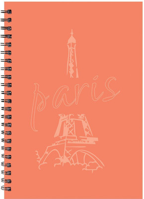 Paper Plane Design A5 Notebook(Paper Plane Design, Multicolor)