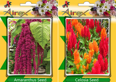 

Airex Amaranthus, Celosia Seed(15 per packet)