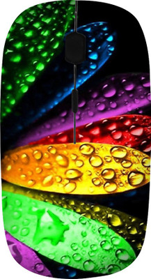 

ROBMOB High Quality RBMB-428 Wireless Optical Mouse(USB, Multicolor)
