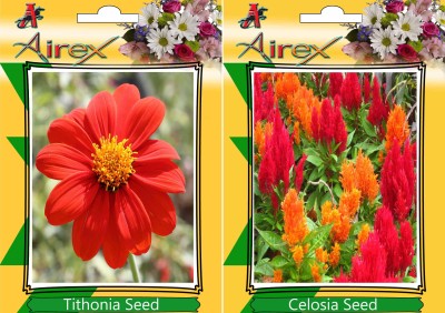 Airex Tithonia, Celosia Seed(25 per packet)