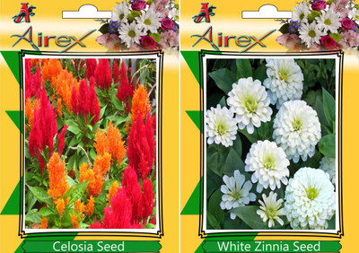

Airex Celosia, White Zinnia Seed(25 per packet)
