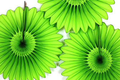 

Funcart Funcart Apple Green paper fan 16''