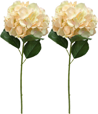 

Ace Flowers Beige Assorted Artificial Flower(25 inch, Pack of 2)