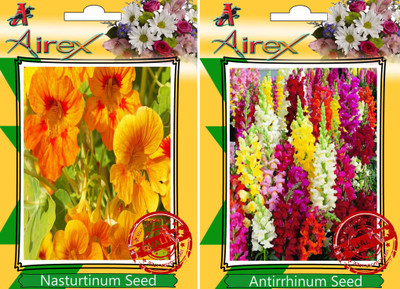 

Airex Nasturtium Mixed, Antirrhinum Snapdragons Seed(15 per packet)