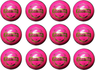 

Brawn Zooter Cricket Leather Ball(Pack of 12, Pink)