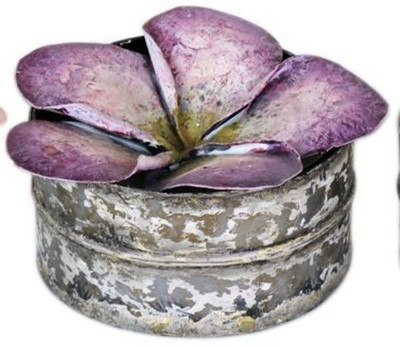 

Bali Mantra Bali Mantra Purple Plumeria Powder Tin, Natural Soy Wax Scented Candle, SCENT : LEMON 10oz Candle(Purple, Pack of 2)