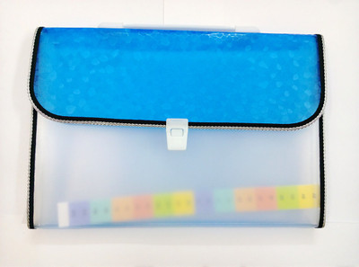 

SMARTSALLER PLASTIC EXPANDING FILE(Set Of 1, Blue)