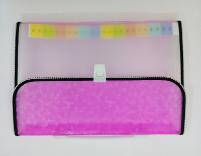 

SMARTSALLER PLASTIC EXPANDING FILE(Set Of 1, Pink)