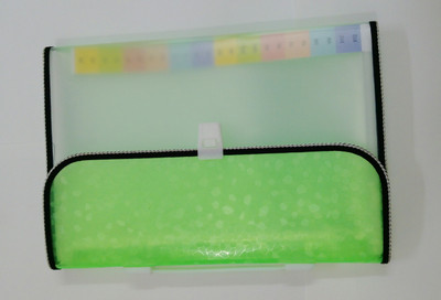 SMARTSALLER PLASTIC EXPANDING FILE(Set Of 1, Green)