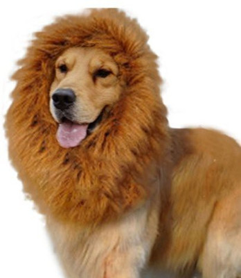 

Futaba Costume for Dog(Brown
