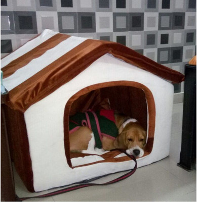 

DOUGE COUTURE Douge Couture-32_M M Pet Bed(Multicolor)