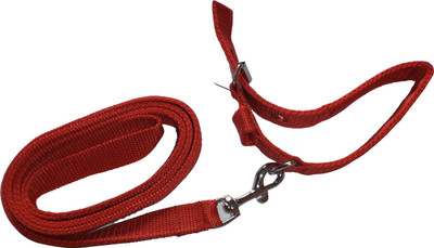Yellow Bell Yellow Bell 4G Pet Club Dog Collar & Leash Dog Collar & Leash(, Multicolor