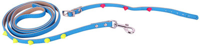 

SRI Imported High Quality Collar And Leash Set For Small Puppy/Cat 127 cm Dog Cord Leash(Blue)