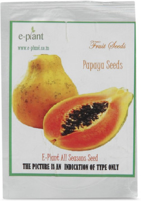 

Eplant Papeeta Seed(20 per packet)