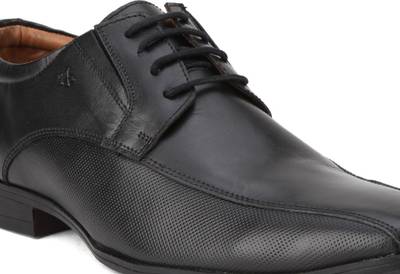 Arrow HARRY Lace Up shoes