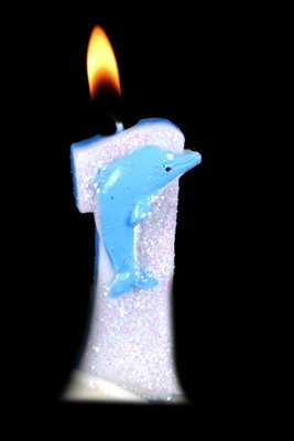 

Funcart Funcart # 1 Dolphin Candle Blue Candle(Multicolor, Pack of 1)