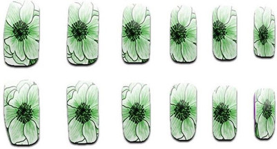 Showy DAN0005(108,110,111,112,113)