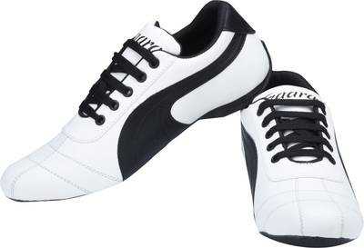 Kaneggye Canvas Shoes, Sneakers, Party Wear, Casuals