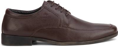 Arrow #NAME? Lace Up shoes