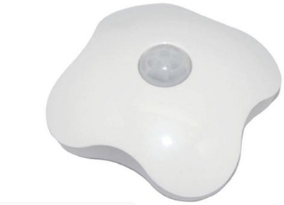 

Pretty Pro Motion Sensor Light Night Lamp(10 cm, White)