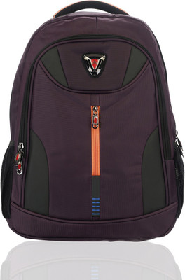 

Irish Stylish 19 L Laptop Backpack(Maroon)