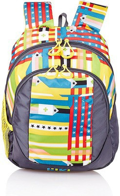 

Wildcraft Spin 20 L Backpack(Grey), Multicolor