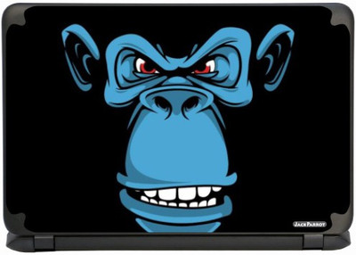 Jack Parrot Nof Sticker 00195 Vinyl Laptop Decal 14