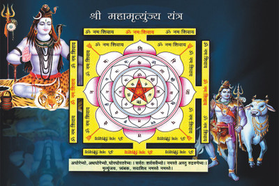 

RadhaKripa Mahamritunjay Yantra Poster Paper Print(18 inch X 12 inch, Rolled)